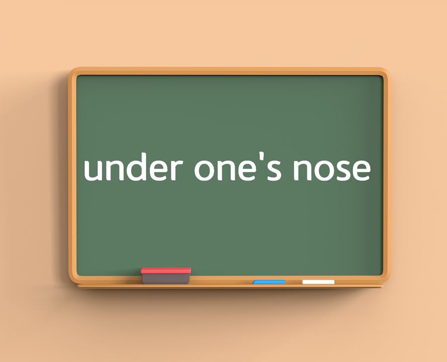 [Study with Daily Busan] under one's nose