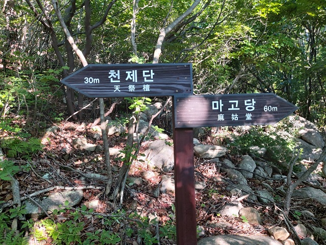 천제단 표지판