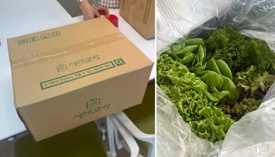 KakaoTalk_Photo_2025-09-20-00-18-46 011