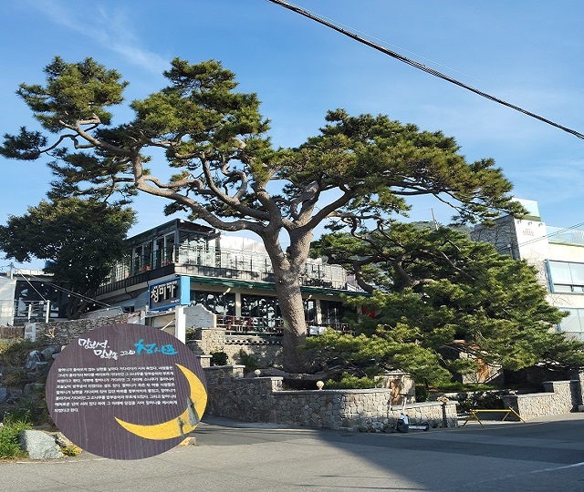 표지