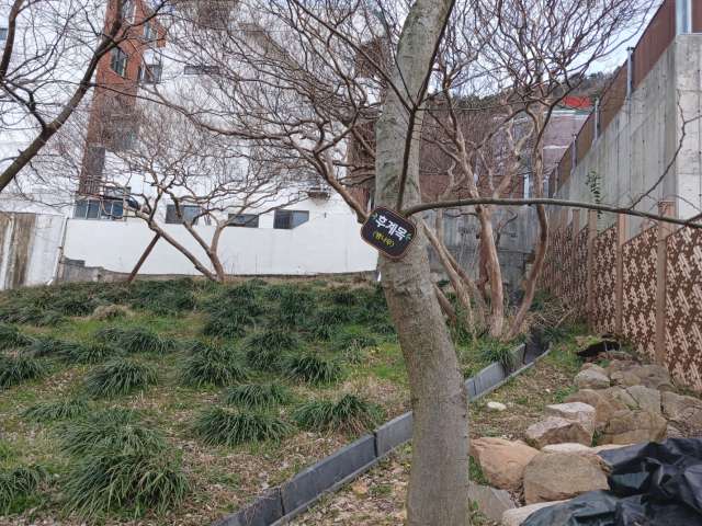 수정됨_KakaoTalk_20240319_175922513