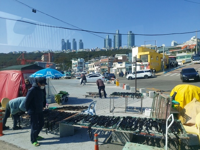 미역말리는 광경