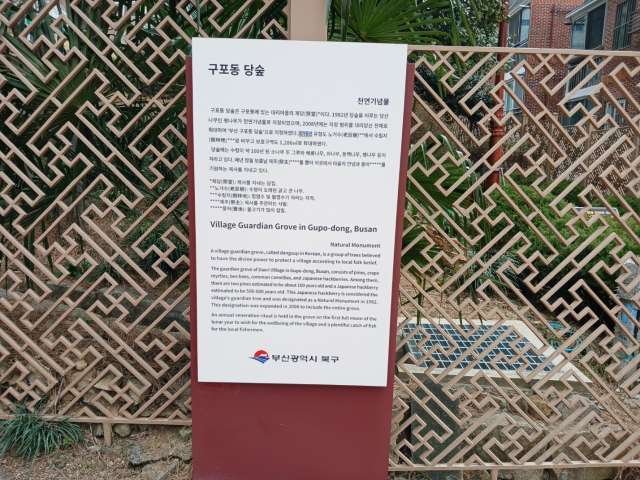 수정됨_KakaoTalk_20240319_175919607