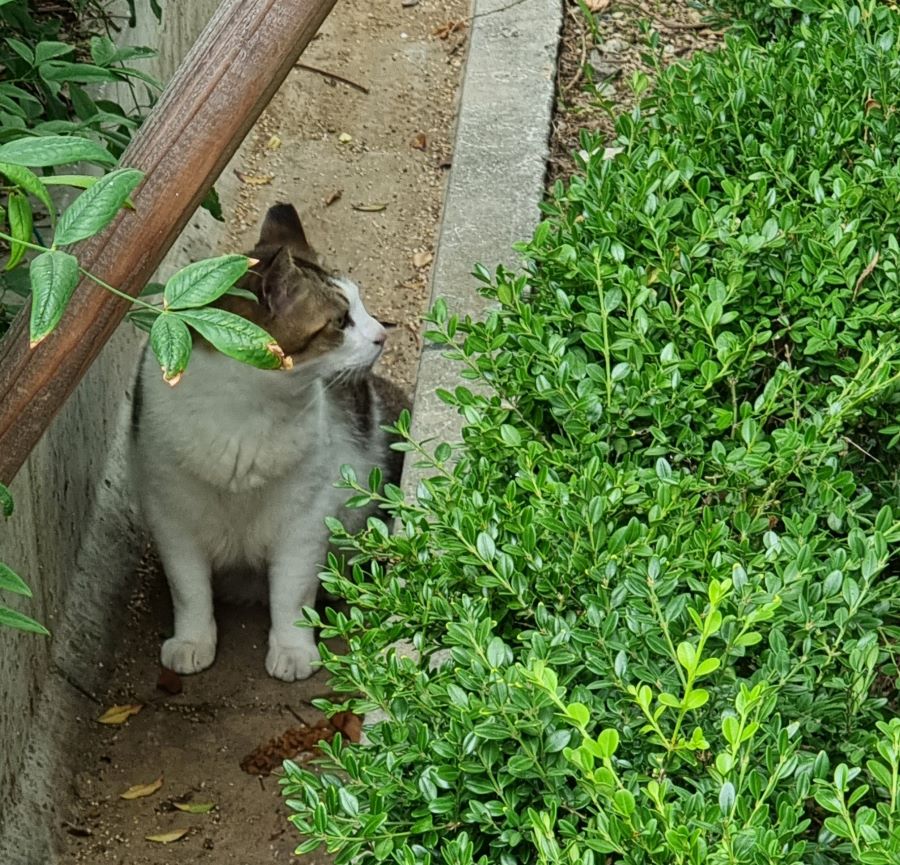 KakaoTalk_20230828_171000856_01