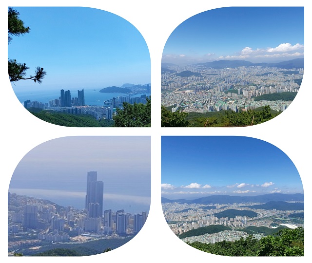 장산전경 모음