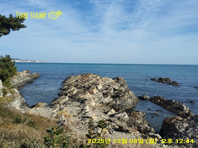 해안 주상절리1