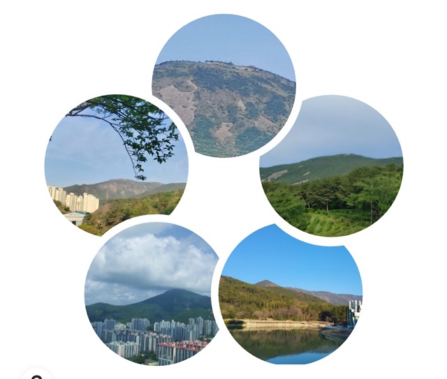 장산 여러모습