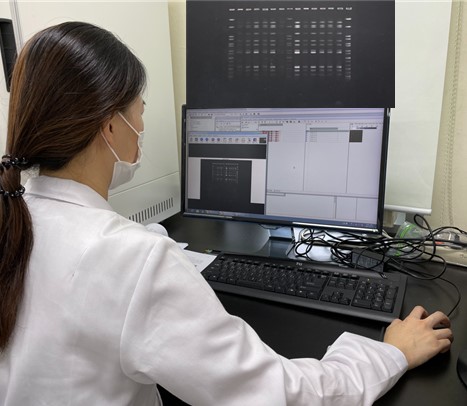 식약품정보 그림2