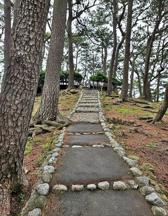 죽도공원 산책로