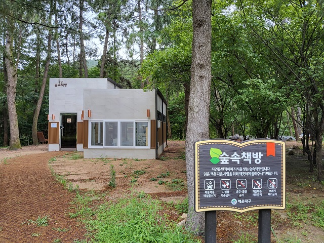 숲속책방