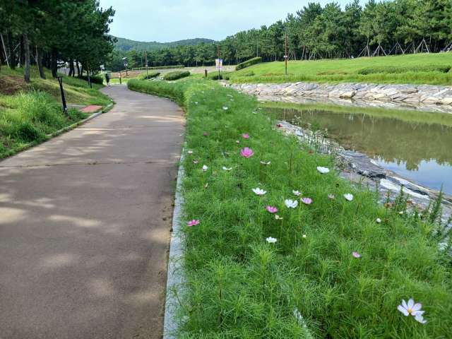 수정됨_KakaoTalk_20240720_092758526