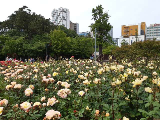 수정됨_KakaoTalk_20230512_152932732