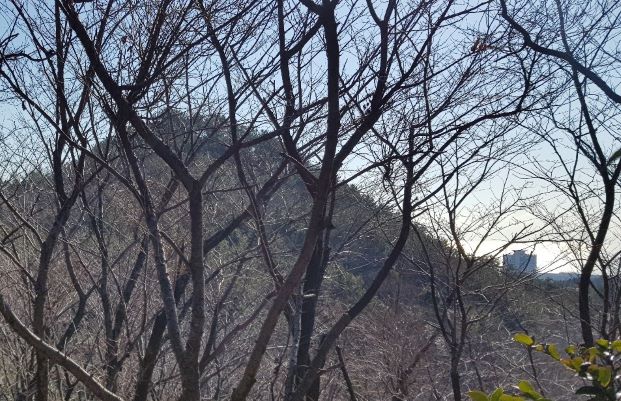 건비오산오르는 길