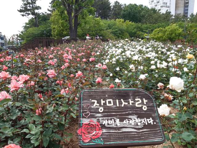 수정됨_KakaoTalk_20230512_152933625