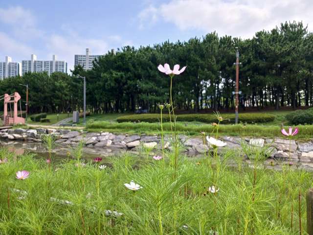 수정됨_KakaoTalk_20240720_092757263