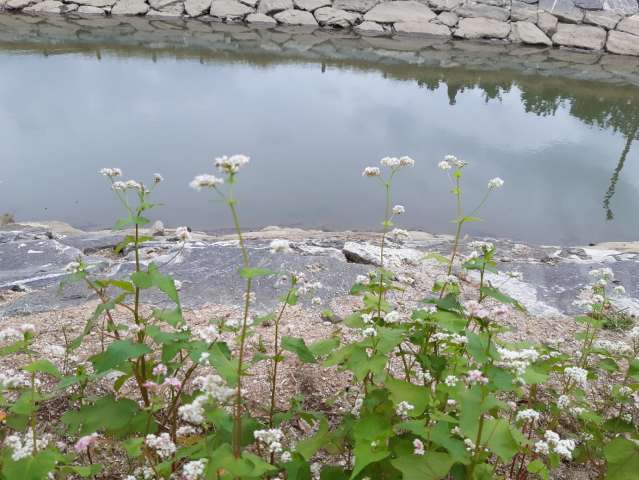 수정됨_KakaoTalk_20231008_165714537