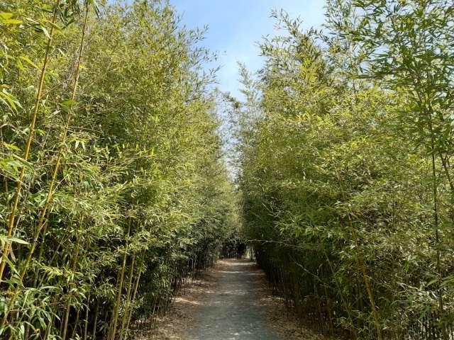 수정됨_KakaoTalk_20220416_145742150