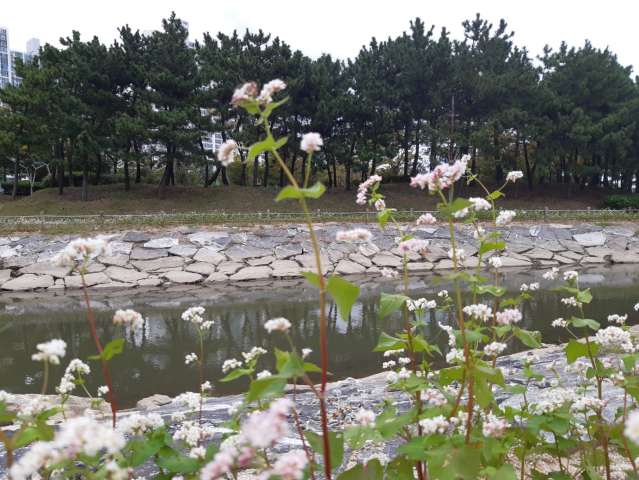 수정됨_KakaoTalk_20231008_165712322