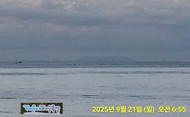 대마도555