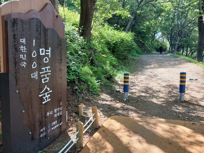 KakaoTalk_20250504_145255528