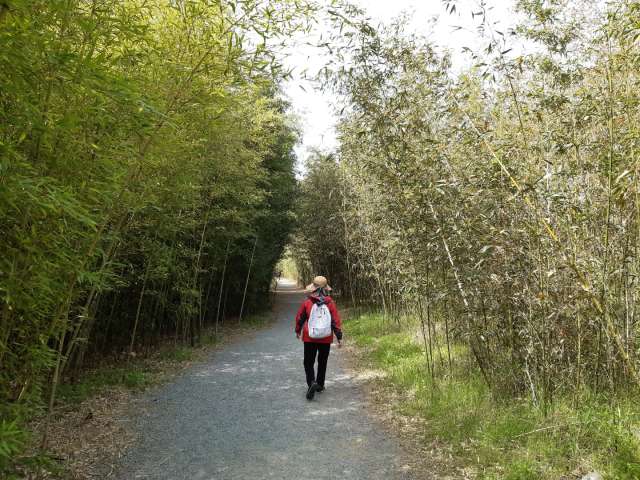 수정됨_KakaoTalk_20220416_145739310