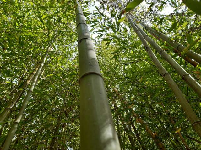 수정됨_KakaoTalk_20220416_145740404