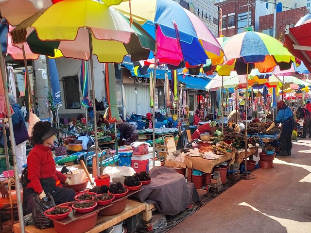 얼룩달룩파라솔난전000