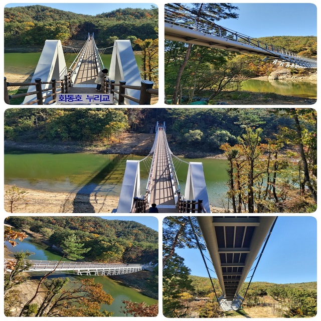회동호누리교 전체