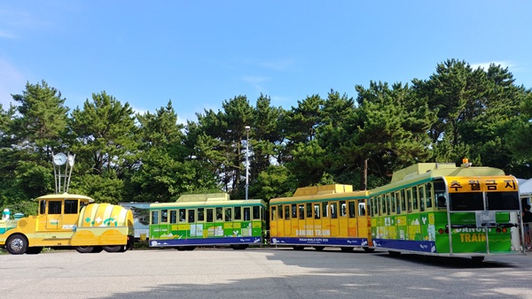 태종대 다누비열차 전체 사진1