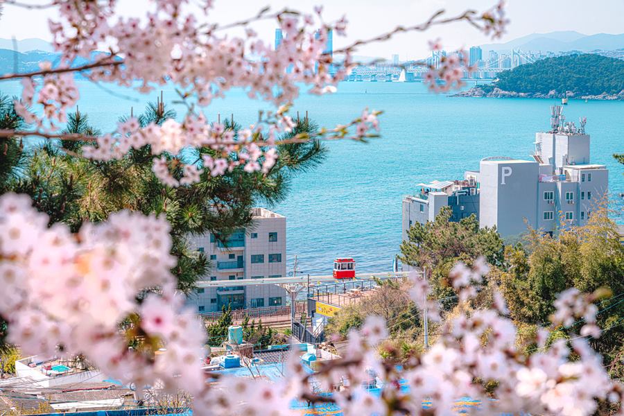 KakaoTalk_20260401_101117529_04 (1)