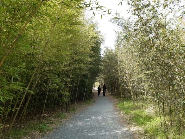 수정됨_KakaoTalk_20220416_145739549