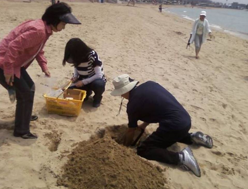 모래 채취.jpg