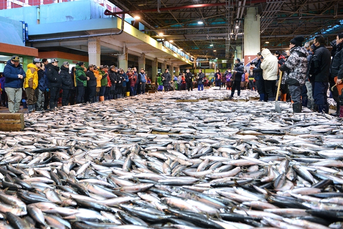 부산공동어시장 (부산공동어시장) 01