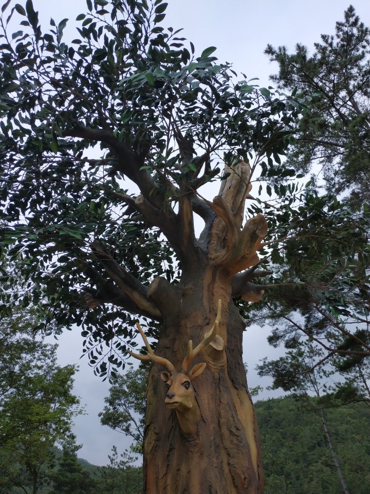 KakaoTalk_20200704_221825312_06