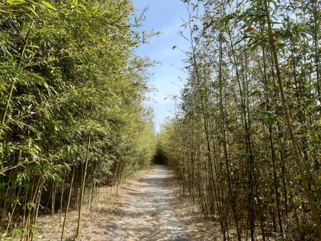 수정됨_KakaoTalk_20220416_145741163