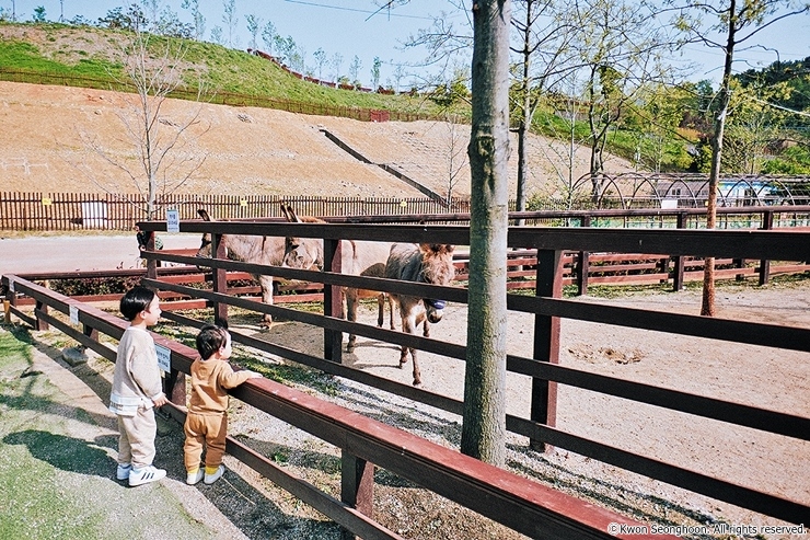 4-5_cw15(사이즈교체) 당나귀 대체 사진