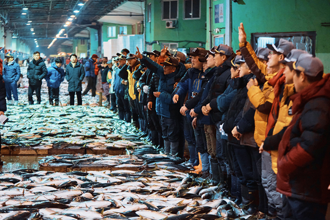 8-2 공동어시장경매현장_권성훈_온라인