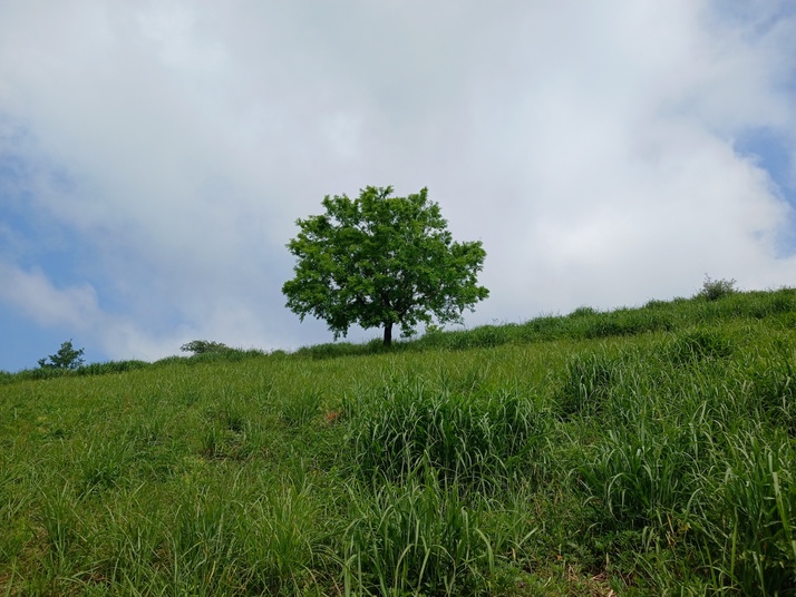 KakaoTalk_20250603_145356712