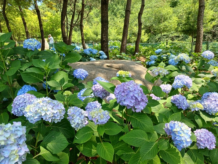 KakaoTalk_20250615_154237540