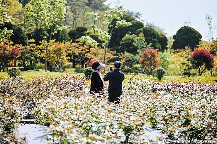 4 부부_권성훈cw15