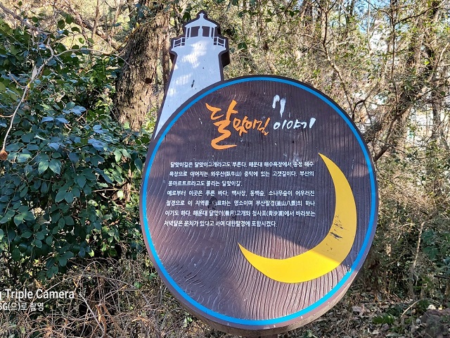 달맞이길 이야기