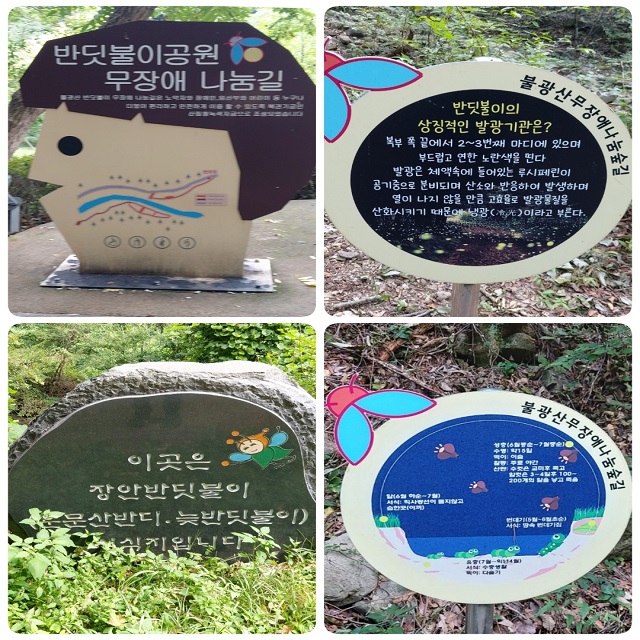 반딧불이 표지모음