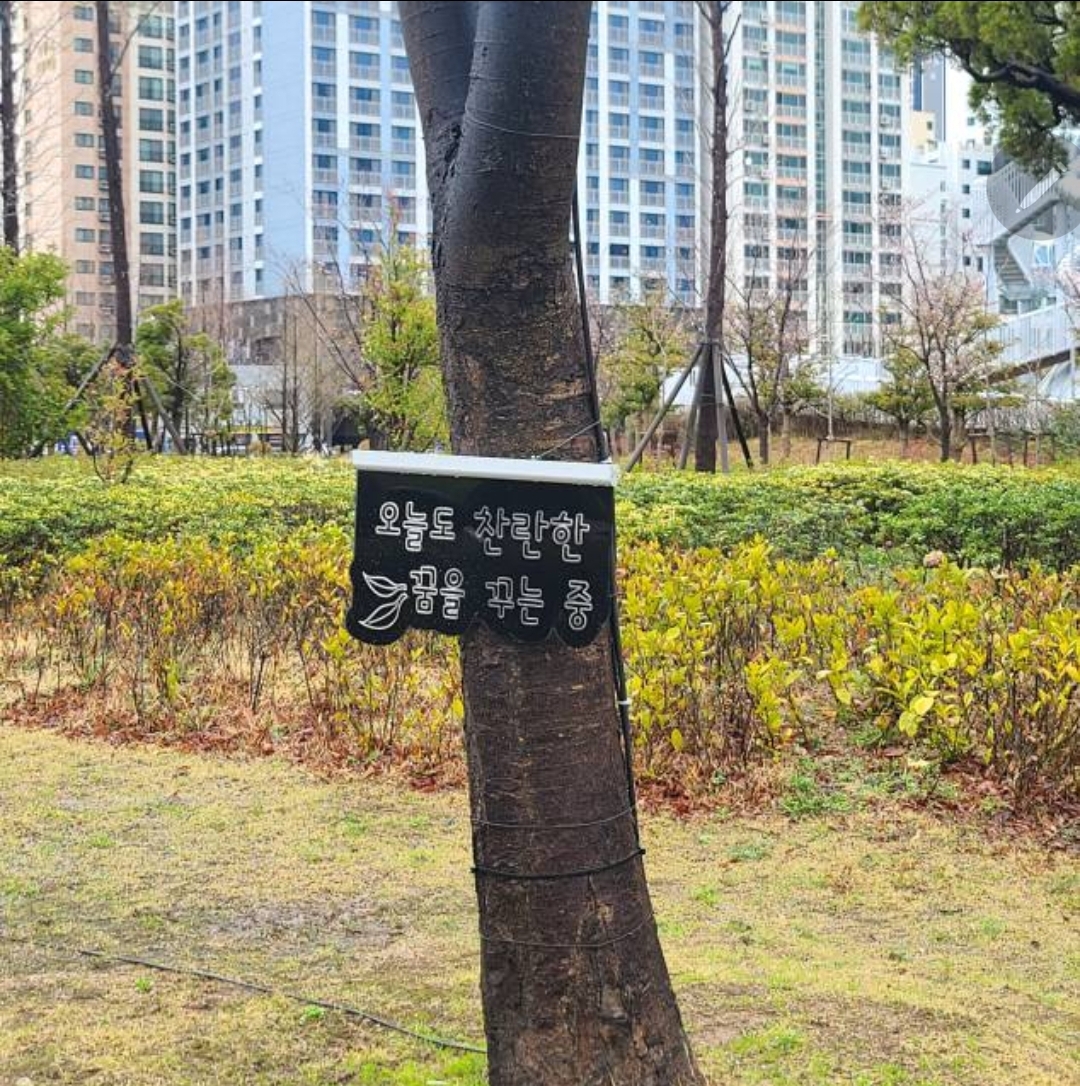 Screenshot_20240131_230152_KakaoTalk