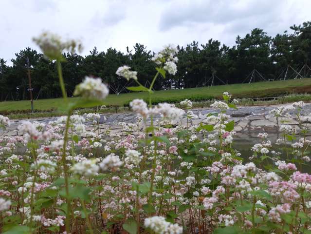 수정됨_KakaoTalk_20231008_165714070