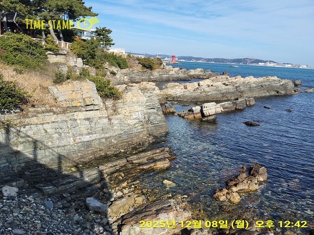 해안 주상절리0