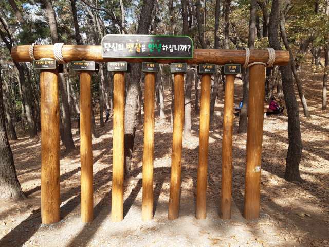 수정됨_KakaoTalk_20221119_154803160