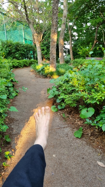 12-4-2_cw5영도구청 쌈지공원_김상희