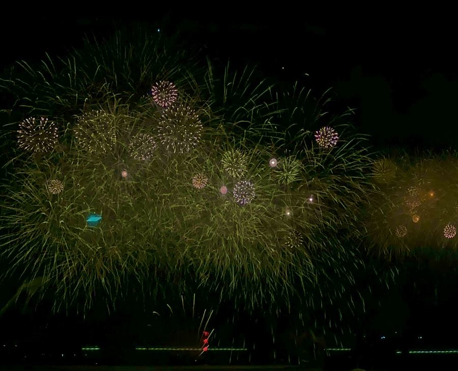 [Busan Travel Log] My Night at Busan's Fireworks Festival