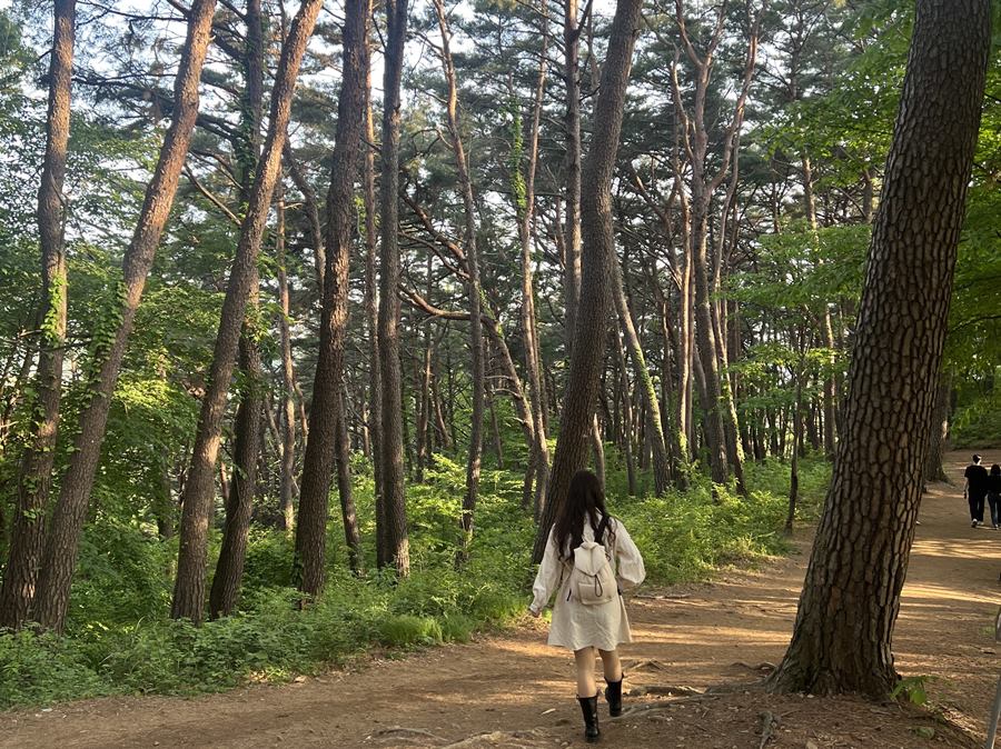 부산 트래블로그3