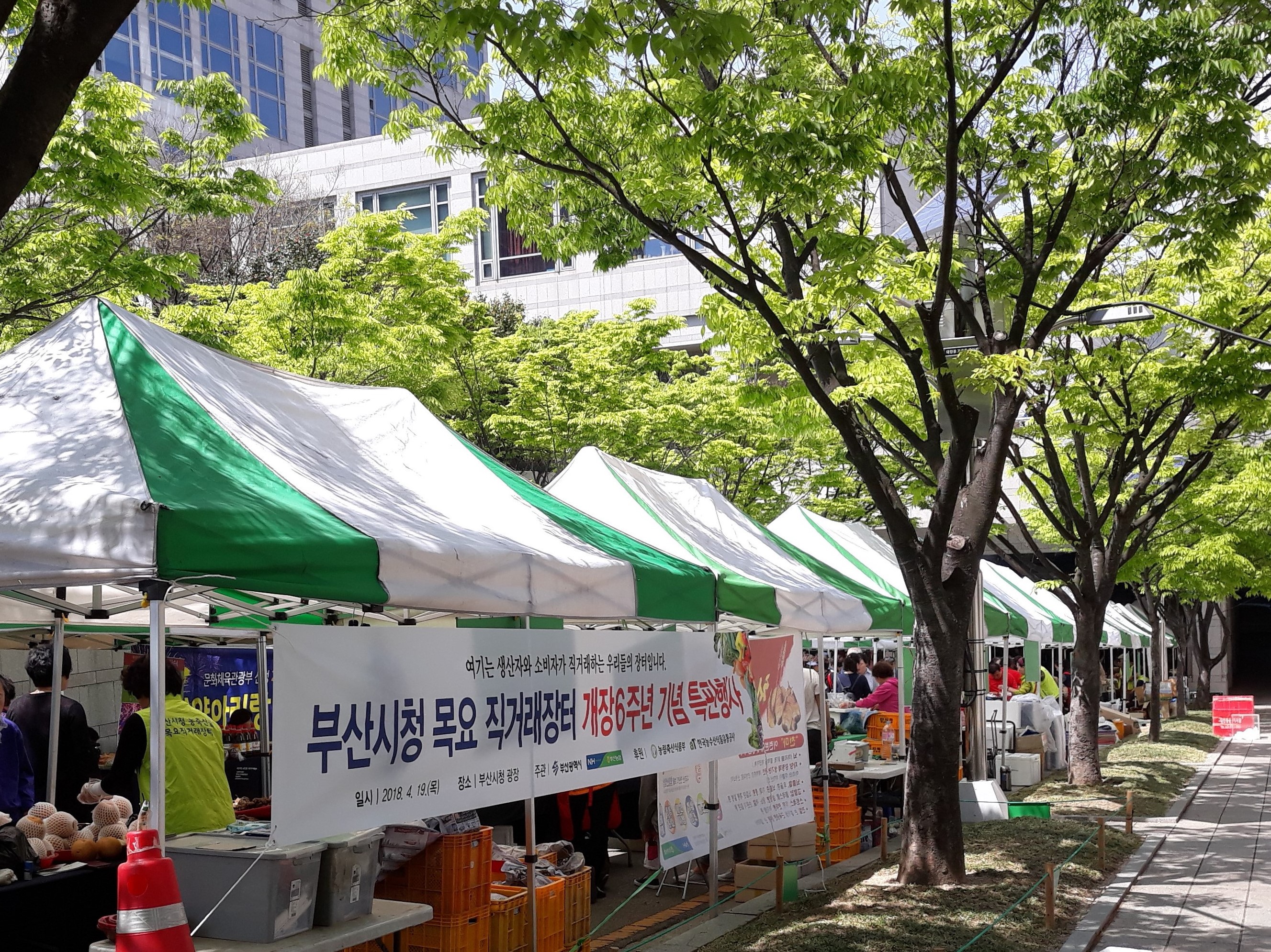 직거래장터사진